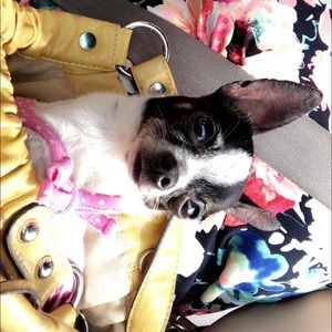 Meet your Posher, Katie